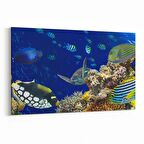 Olla 12167Y Akvaryum / Balık Görseli Yatay Kanvas Tablo (Ölçü: 90X60)