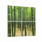 Olla 14182K4 Doğa / Manzara Görseli Kare 4'lü Kanvas Tablo (Ölçü: 145X145)