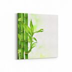 Olla 17078K Spa / Masaj Görseli Kare Kanvas Tablo (Ölçü: 30X30)