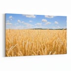 Olla 14284Y Doğa / Manzara Görseli Yatay Kanvas Tablo (Ölçü: 30X20)