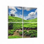 Olla 14545K4 Doğa / Manzara Görseli Kare 4'lü Kanvas Tablo (Ölçü: 145X145)