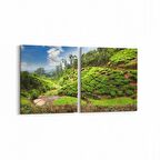 Olla 14544K2Y Doğa / Manzara Görseli Kare 2'li Yatay Kanvas Tablo (Ölçü: 85X40)