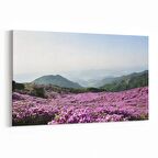 Olla 14397Y Doğa / Manzara Görseli Yatay Kanvas Tablo (Ölçü: 45X30)