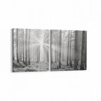 Olla 13760K2Y Doğa / Manzara Görseli Kare 2'li Yatay Kanvas Tablo (Ölçü: 85X40)