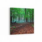 Olla 13501K Doğa / Manzara Görseli Kare Kanvas Tablo (Ölçü: 25X25)