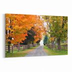 Olla 13293Y Doğa / Manzara Görseli Yatay Kanvas Tablo (Ölçü: 70X50)