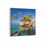 Olla 14581K Doğa / Manzara Görseli Kare Kanvas Tablo (Ölçü: 25X25)