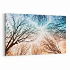 Olla 10979Y Ağaç Görseli Yatay Kanvas Tablo (Ölçü: 90X60)