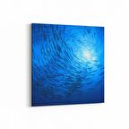 Olla 12969K Deniz / Okyanus Görseli Kare Kanvas Tablo (Ölçü: 25X25)