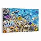 Olla 12127Y Akvaryum / Balık Görseli Yatay Kanvas Tablo (Ölçü: 120X80)
