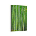 Olla 13658D Doğa / Manzara Görseli Dikey Kanvas Tablo (Ölçü: 70X105)