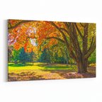 Olla 13980Y Doğa / Manzara Görseli Yatay Kanvas Tablo (Ölçü: 30X20)