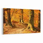 Olla 14344Y Doğa / Manzara Görseli Yatay Kanvas Tablo (Ölçü: 150X100)