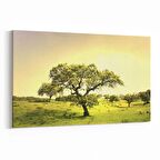 Olla 13888Y Doğa / Manzara Görseli Yatay Kanvas Tablo (Ölçü: 30X20)