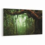 Olla 13514Y Doğa / Manzara Görseli Yatay Kanvas Tablo (Ölçü: 90X60)