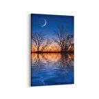 Olla 16126D Günbatımı Görseli Dikey Kanvas Tablo (Ölçü: 20X30)