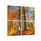 Olla 13255K4 Doğa / Manzara Görseli Kare 4'lü Kanvas Tablo (Ölçü: 125X125)