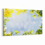 Olla 10476Y Ağaç Görseli Yatay Kanvas Tablo (Ölçü: 150X100)