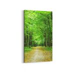 Olla 13373DD Doğa / Manzara Görseli Dikey Dar Kanvas Tablo (Ölçü: 40X80)