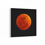 Olla 17634K Uzay Görseli Kare Kanvas Tablo (Ölçü: 60X60)