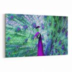 Olla 12625Y Hayvanlar Alemi Görseli Yatay Kanvas Tablo (Ölçü: 45X30)