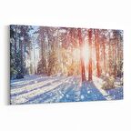 Olla 13534Y Doğa / Manzara Görseli Yatay Kanvas Tablo (Ölçü: 30X20)