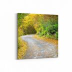 Olla 13224K Doğa / Manzara Görseli Kare Kanvas Tablo (Ölçü: 30X30)