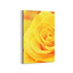 Olla 11592D Çiçek Görseli Dikey Kanvas Tablo (Ölçü: 100X150)