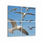Olla 15833K4 Gökyüzü Kuşlar Görseli Kare 4'lü Kanvas Tablo (Ölçü: 145X145)