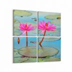 Olla 14410K4 Doğa / Manzara Görseli Kare 4'lü Kanvas Tablo (Ölçü: 65X65)