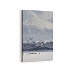 Olla 13604D Doğa / Manzara Görseli Dikey Kanvas Tablo (Ölçü: 60X90)