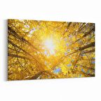 Olla 11024Y Ağaç Görseli Yatay Kanvas Tablo (Ölçü: 45X30)