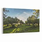 Olla 14244Y Doğa / Manzara Görseli Yatay Kanvas Tablo (Ölçü: 90X60)