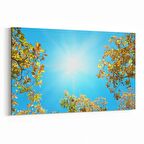 Olla 10520Y Ağaç Görseli Yatay Kanvas Tablo (Ölçü: 30X20)