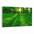 Olla 13929Y Doğa / Manzara Görseli Yatay Kanvas Tablo (Ölçü: 90X60)