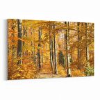 Olla 14576Y Doğa / Manzara Görseli Yatay Kanvas Tablo (Ölçü: 30X20)