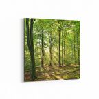 Olla 13599K Doğa / Manzara Görseli Kare Kanvas Tablo (Ölçü: 25X25)