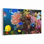 Olla 12109Y Akvaryum / Balık Görseli Yatay Kanvas Tablo (Ölçü: 45X30)