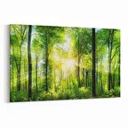 Olla 13838Y Doğa / Manzara Görseli Yatay Kanvas Tablo (Ölçü: 45X30)