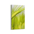 Olla 14329DD Doğa / Manzara Görseli Dikey Dar Kanvas Tablo (Ölçü: 40X80)