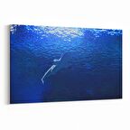 Olla 13004Y Deniz / Okyanus Görseli Yatay Kanvas Tablo (Ölçü: 70X50)