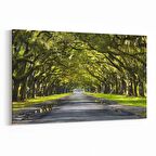 Olla 13976Y Doğa / Manzara Görseli Yatay Kanvas Tablo (Ölçü: 120X80)