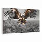 Olla 12566Y Hayvanlar Alemi Görseli Yatay Kanvas Tablo (Ölçü: 30X20)