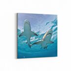 Olla 12953K Deniz / Okyanus Görseli Kare Kanvas Tablo (Ölçü: 25X25)