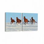 Olla 12519K2Y Hayvanlar Alemi Görseli Kare 2'li Yatay Kanvas Tablo (Ölçü: 85X40)