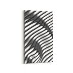 Olla 10390DD Abstract Görsel Dikey Dar Kanvas Tablo (Ölçü: 40X80)