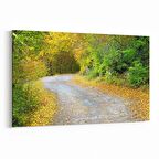 Olla 13224Y Doğa / Manzara Görseli Yatay Kanvas Tablo (Ölçü: 45X30)