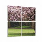 Olla 13444K4 Doğa / Manzara Görseli Kare 4'lü Kanvas Tablo (Ölçü: 105X105)