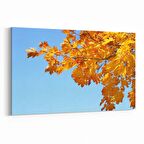 Olla 10804Y Ağaç Görseli Yatay Kanvas Tablo (Ölçü: 150X100)