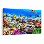 Olla 12072Y Akvaryum / Balık Görseli Yatay Kanvas Tablo (Ölçü: 90X60)